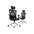 PM | Ergonomic Office Chair with Rollerblade Wheels - High Back Breathable Mesh Desk Chair, 4D Lumbar Support, Memory Foam Seat, Adjustable Headrest and Armrests, Reclines, Black