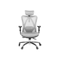 PM | Ergonomic Office Chair - Adjustable Desk Chair with Lumbar Support and Rollerblade Wheels - High Back Chairs with Breathable Mesh - Thick Seat Cushion, Head, and Arm Rests - Gray